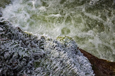 Severe frost has formed bizarre ice formations in the riverbed of the Gottleuba. Frozen spray