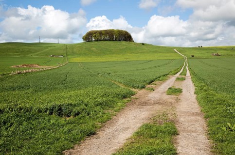 Path leading towards chalk scarp slope at Furze Knoll, Morgan's Hill, Marlborough Downs, Wiltshire,