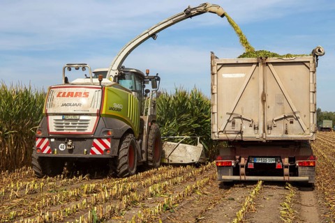 Rhineland-Palatinate, Germany: Maize harvesting (maize chopping) for the Alexanderhof biogas plant