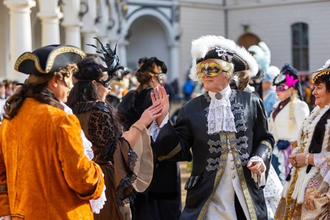 LUST & PASSION & JOY OF LIFE, for the joy of the masquerade, the Elbvenezian Carnival took place in
