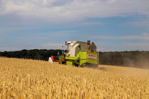 Grain harvest in the district of Bad Duerkheim (Rhineland-Palatinate)