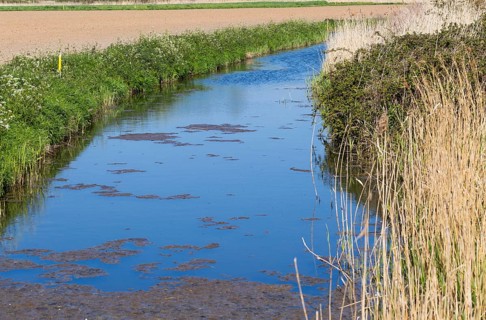 Water in drainage ditch channel through arable farmland, Hollesley, Suffolk, England, UK