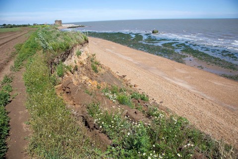 Mass movement collapse of soft cliffs due to coastal erosion at East Lane, Bawdsey, Suffolk,