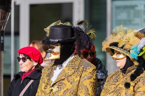 LUST & PASSION & JOY OF LIFE, for the joy of the masquerade, the Elbvenezian Carnival took place in