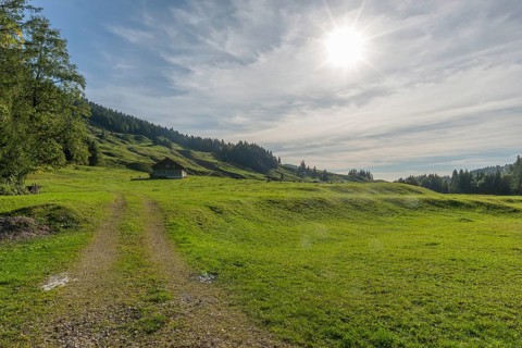 Alpine farm at Lecknersee, humpback meadow, path, municipality of Dornbirn, Bregenzerwald,
