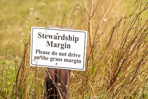 Sign for stewardship margin conservation strip of land in arable field, Inkpen Hill, Berkshire,