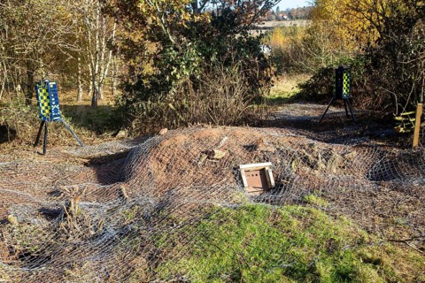 Eviction of badgers clearance of badger sett using metal fencing and one way exit gates, part of