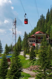 A red cable car gondola approaches a mountain station surrounded by fir trees on a sunny day, Balea