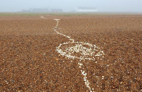 Coastal fog adds mystery to a line of white shells crossing pebble beach, Shingle Street, Suffolk,