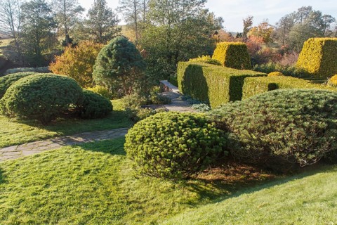 Cottage garden with green lawn, trees, hedges, trimmed bushes and large mountain pines. Modern