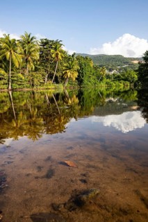View of a river arm, a tropical mangrove landscape and the natural surroundings of Grande Anse