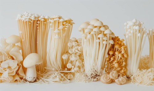 Variety of Shimeji mushrooms, Enoki mushroom, Golden needle mushroom, Enoki mushroom. AI generated