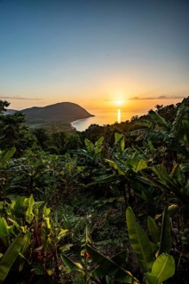 View from a mountain to a secluded bay with a sandy beach and mangrove forest. The sun rises over