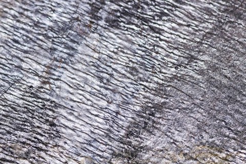 The texture of natural stone, sandstone, limestone, granite