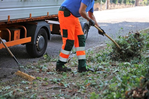 Green maintenance, landscape maintenance (Homburg, Saarland)