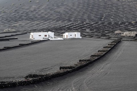 Wine growing in volcanic ash pits protected by dry stone walls, Yaiza, Lanzarote, Canary Islands,