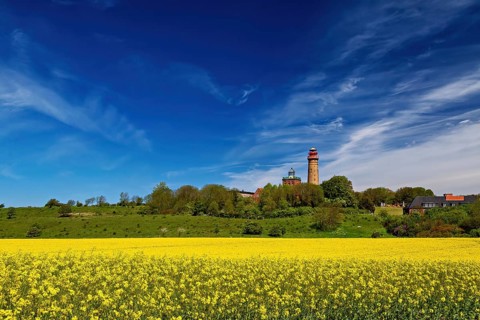 Rapeseed fields at the lighthouse of Cape Arkona on Ruegen