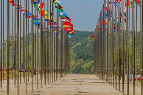 Flags from several nations flying on chrome flagpoles with trees and blue sky in background in