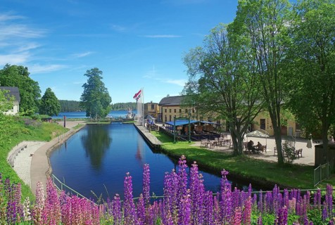 Flowering lupine in front of parts of the lock system of Haverud, Dalsland Canal, Mellerud, Vaestra