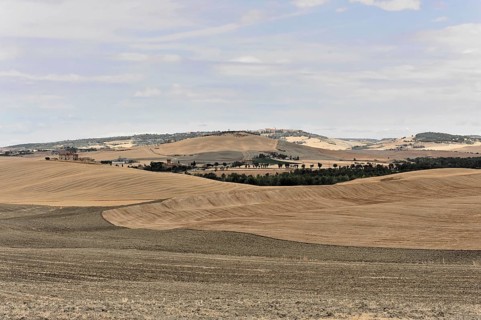 Harvested fields south of Siena, Crete Senesi, Tuscany, Italy, Europe