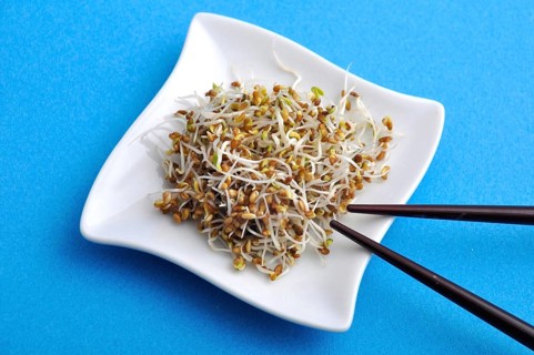 A white plate with sprouts and chopsticks against a blue background suggests a healthy vegetarian