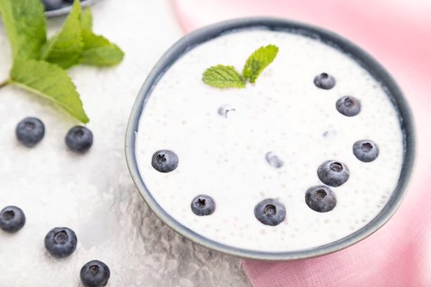 Yogurt with blueberry in ceramic bowl on gray concrete background and pink linen textile. Side