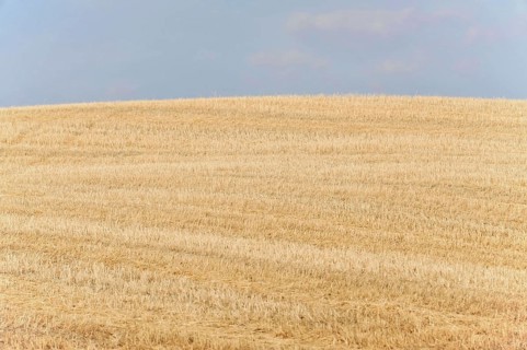 Harvested fields south of Siena, Crete Senesi, Tuscany, Italy, Europe