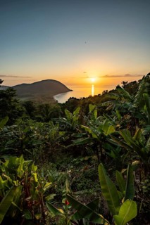 View from a mountain to a secluded bay with a sandy beach and mangrove forest. The sun rises over