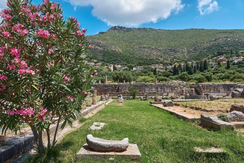 View of ancient ruins with blooming oleander and a mountainous landscape in the background,