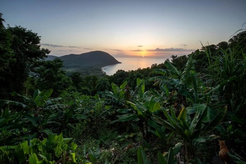View from a mountain to a secluded bay with a sandy beach and mangrove forest. The sun rises over