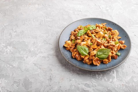 Fried chanterelle mushrooms with basil and spice herbs on gray concrete background. Side view, copy