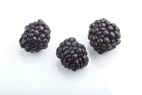 Three ripe dewberry isolated on white background. side view, close up