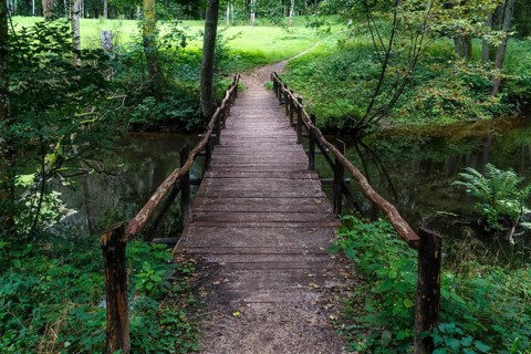 Wooden bridge over the river in the city park of Druskininkai. Lithuania