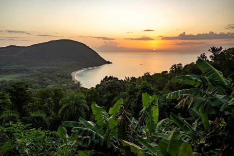 View from a mountain to a secluded bay with a sandy beach and mangrove forest. The sun rises over