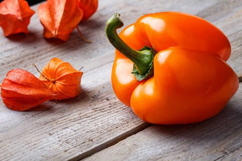 Orange pepper and red physalis on rustic wooden background with copy space