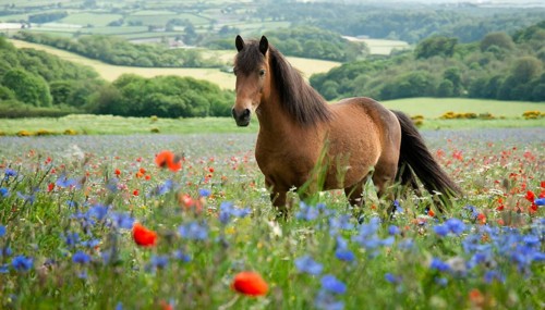 KI generated, animal, animals, mammal, mammals, biotope, habitat, one, individual animal, foraging,