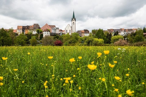 Historic old town, Engen, Hegau, Constance district, Lake Constance, Baden-Wuerttemberg, Germany,