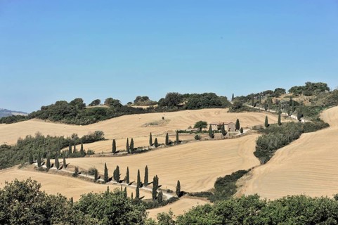La Foce cypress avenue, Tuscany, Italy, Europe