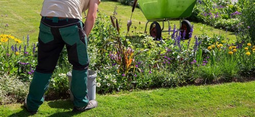 Landscape gardener gardening in the flower bed