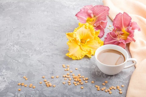 Yellow anf purple day-lilies cup of coffee on a gray concrete background, with orange textile.