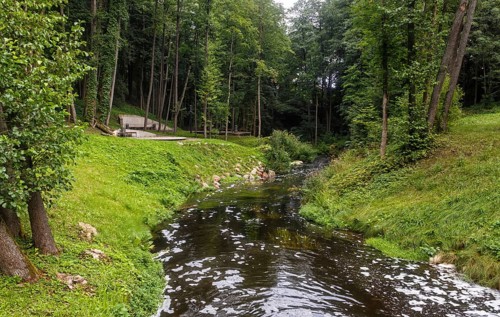 A forest park with large trees and creative benches and arches. Druskinikai, Lithuania, Europe