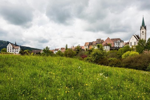 Historic old town, Engen, Hegau, Constance district, Lake Constance, Baden-Wuerttemberg, Germany,
