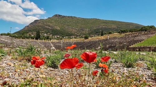 Bright red poppies in the foreground of an ancient amphitheatre with mountain backdrop, stadium,