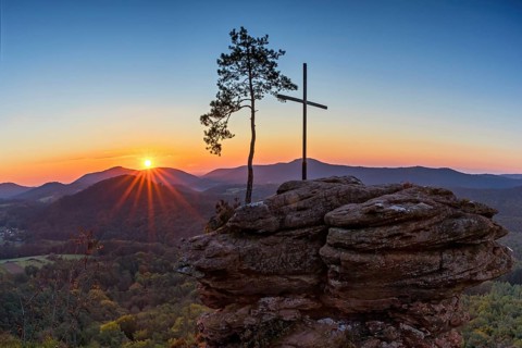 Sunrise on the Roetzenfelsen in the Palatinate Forest with bright sunshine and the lone pine tree