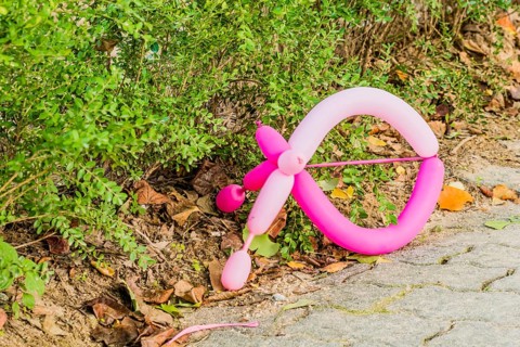 Pink balloon discarded on brick walkway next to row of bush hedges in South Korea