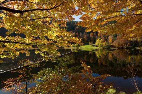 Lake with autumn forest, water reflection, Nonnenmattweiher, Neuenweg, Black Forest,