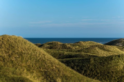 Dune landscape overgrown with marram grass (Ammophila arenaria) in front of a calm, smooth North
