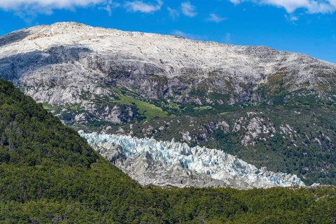 Tongue of the Pia Glacier between forests, Alberto de Agostini National Park, Avenue of the
