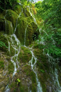 Water flowing in rivulets down a mossy mountain face, nature, natural spectacle, water, flowing,