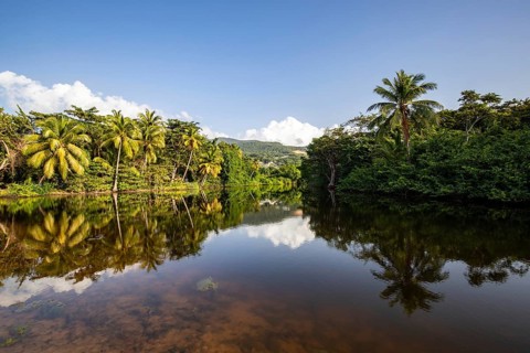 View of a river arm, a tropical mangrove landscape and the natural surroundings of Grande Anse